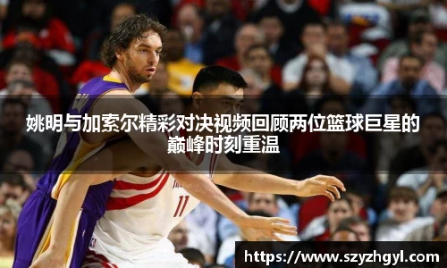 姚明与加索尔精彩对决视频回顾两位篮球巨星的巅峰时刻重温